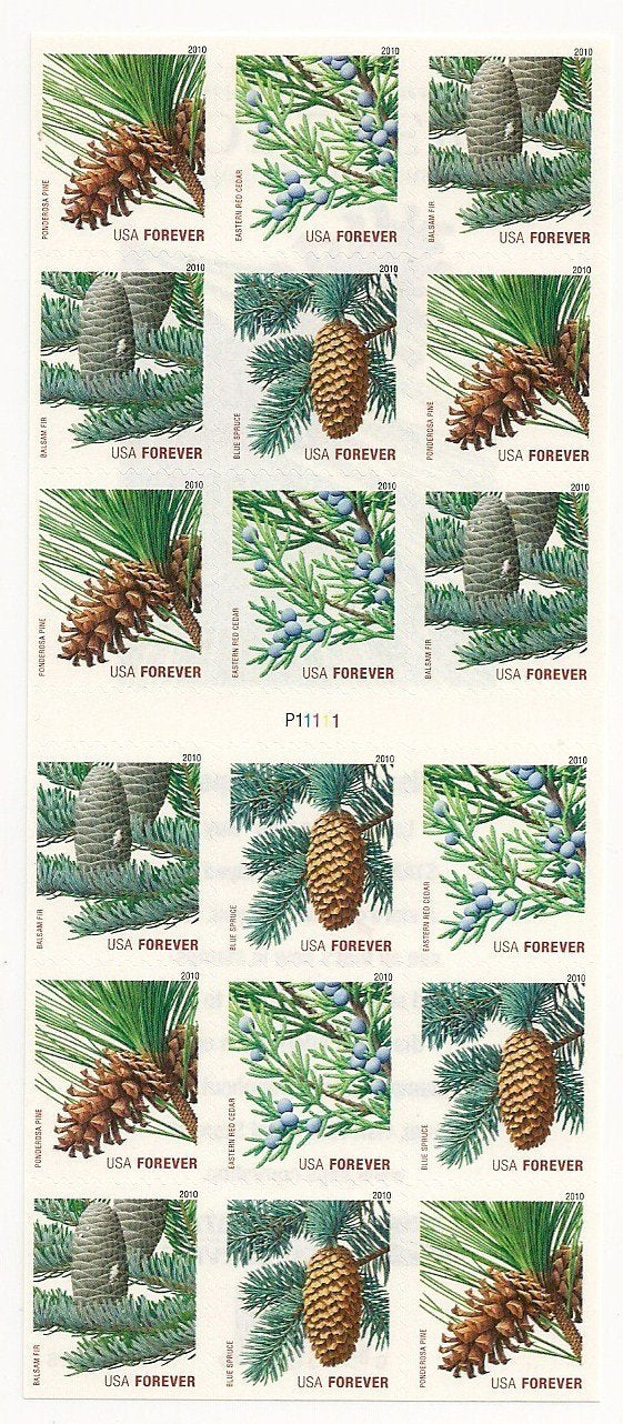 2010 Holiday Evergreens