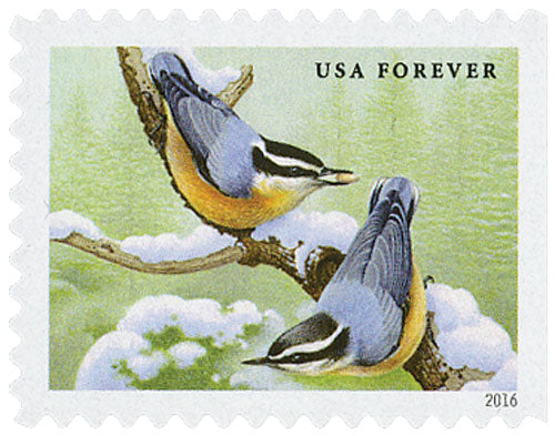 2016 Songbirds in Snow
