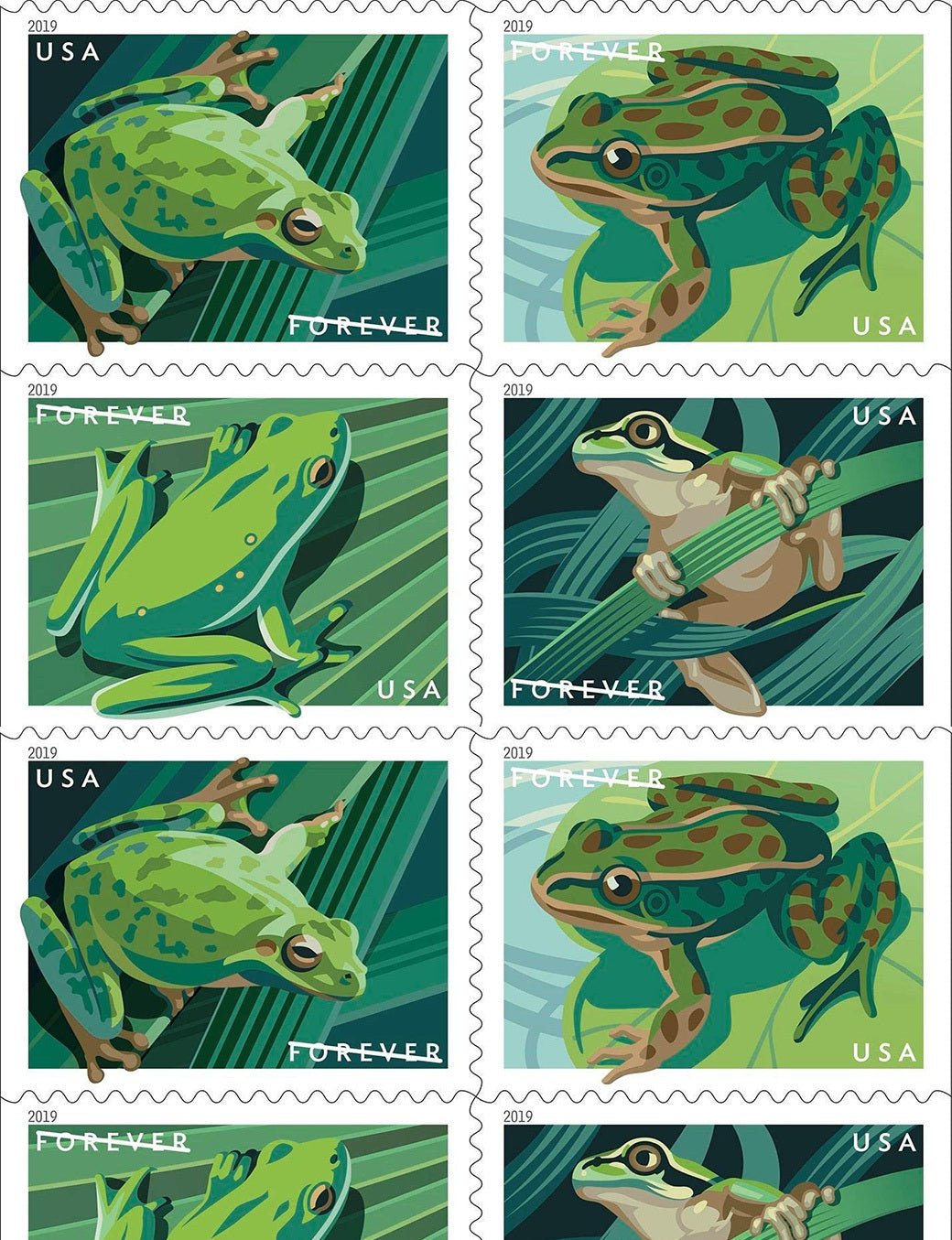 Frogs (2019)