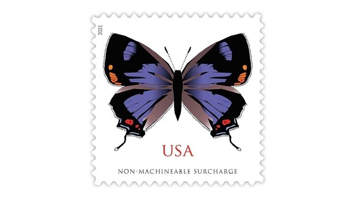 2021 Colorado Hairstreak