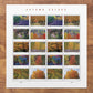 2024 Autumn Colors
