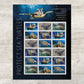 2024 Protect Sea Turtles