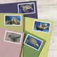 2024 Protect Sea Turtles