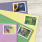 2024 Garden Delights