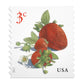 2017 Strawberries