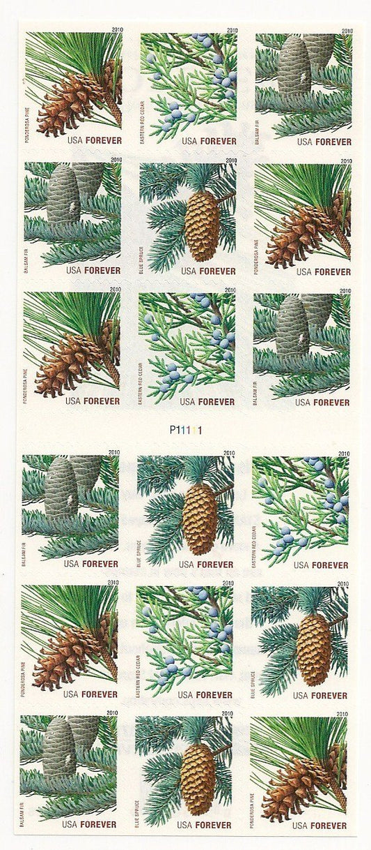 2010 Holiday Evergreens