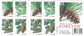 2010 Holiday Evergreens