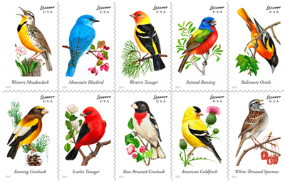 2014 Songbirds
