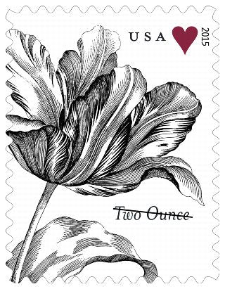2015 Vintage Tulip