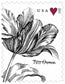 2015 Vintage Tulip