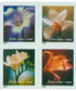 2000 Four Flowers