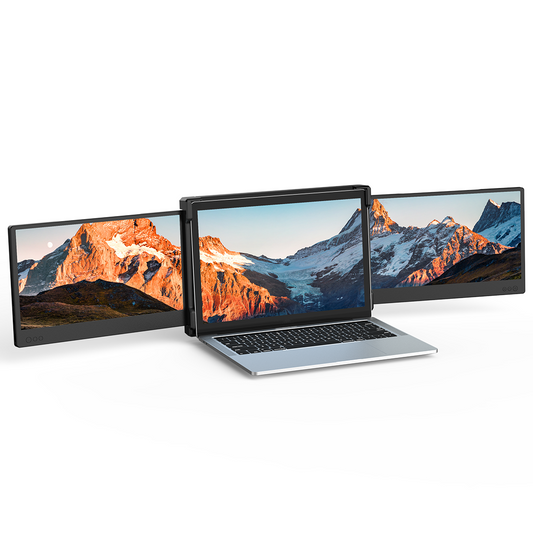TRI(triple)-SCREEN