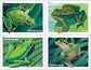 Frogs (2019)