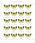 2019 US California Dogface Butterfly