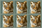 Save Vanishing Species (2011)