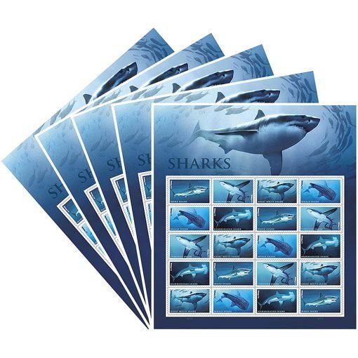 FIRST CALSS SHARKS (2017)