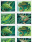 Frogs (2019)