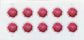 2020 Global Pink Chrysanthemum International