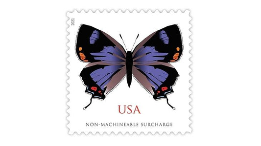 2021 Colorado Hairstreak